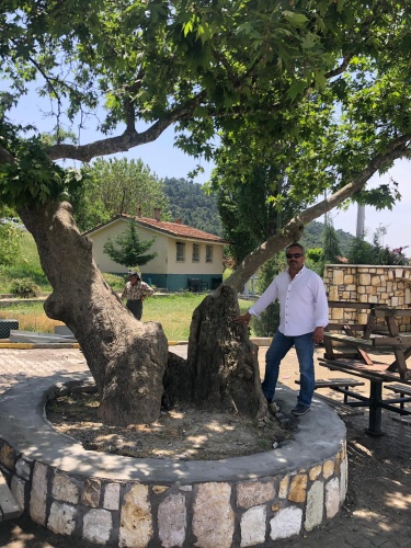 Beşyol Köyündeki Ağaç Koruma Altına Alınmayı Bekliyor...
İzmir'in Bornova ilçesine bağlı Beşyol Mahallesi'nde bulunan 6 asırlık çınar ağacı için, Beşyol Mahalle Muhtarı Mustafa Bahşi, ağacın korunmaya alınarak tekrar yaşatılabileceğini söyledi. Ağacın 600 yıllık olduğunu tahmin ettiklerini ifade eden Bahşi, "Bu asırlık Çınar ağacının rüzgar, yağmur, kar gibi etkenlerle gövdesi ikiye ayrılmış. Yıllar önce ağaca yıldırım düşmesi sonucu gövdesi ikiye ayrılmış. Ağaç şu anda hala canlı" dedi. 

Beşyol Mahalle Muhtarı Mustafa Bahşi, köye dışarıdan gelen ziyaretçilerin ağacın önünde fotoğraf çektirdiklerini ifade etti. Ağacın korumaya alınarak hastalıklı çürümeye başlayan yerlerinin temizlenmesiyle dimdik ayakta kalabileceğini belirten Bahşi, ağacın dip kısmının hala sağlam olduğunu ağacın yaşının ise kimse tam olarak yaşını bilmediğini ama Çınar ağacının 500-600 yıllık olduğu söyleniyor. Bu gibi ağaçları elimizden geldiğince korumaya özen gösteriyoruz" diye konuştu.


Haberin Linki:https://www.egeajans.com/cevre/besyol-koyundeki-agac-koruma-altina-alinmayi-bekliyor-h26224.html