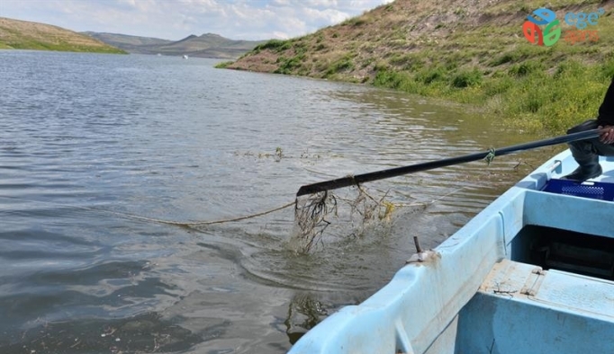 Yamula Barajı’ndan sahipsiz 2 bin 600 metre misina ağ toplandı