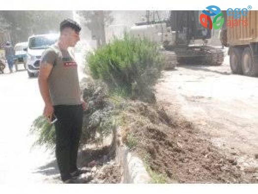 Ağaç kırmasıyla gündeme gelen Türkiye’nin tepki gösterdiği genç İHA’ya konuştu