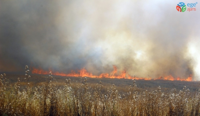 Diyarbakırlı çiftçilere, anız yangınıyla ilgili uyarı bildirisi