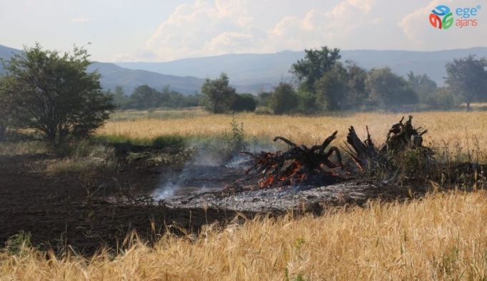 Erzincan’da arpa tarlasında yangın