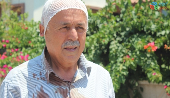 Manavgat’ta sokak köpeklerinin saldırdığı yaşlı adam hastanelik oldu