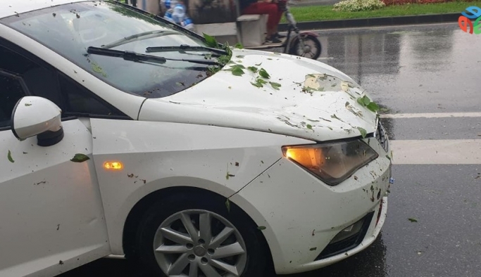 Sakarya’da şiddetli yağış esnasında ağaç aracın üzerine devrildi