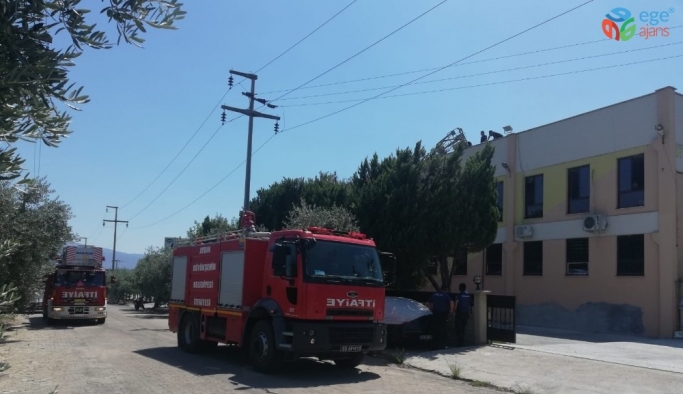 Aydın’da fabrika yangını; Zehirlenen bir kişi hastaneye kaldırıldı
