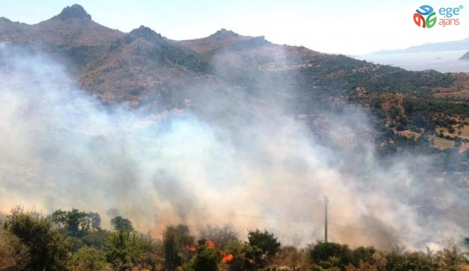 Bodrum’da başlayan yangın yerleşim yerlerini tehdit ediyor