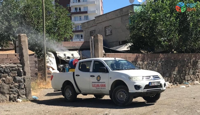 Diyarbakır’da ilaçlama çalışmaları aralıksız sürüyor
