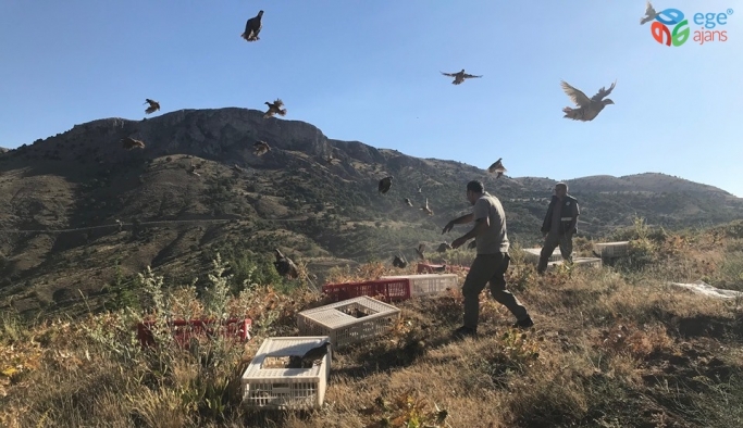 Karaman’da doğaya 2 bin kınalı keklik salındı