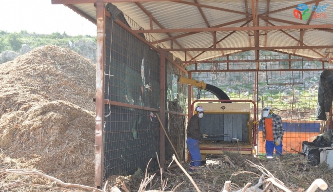 Muratpaşa Belediyesi, dal atıklarını kompost gübreye çeviriyor