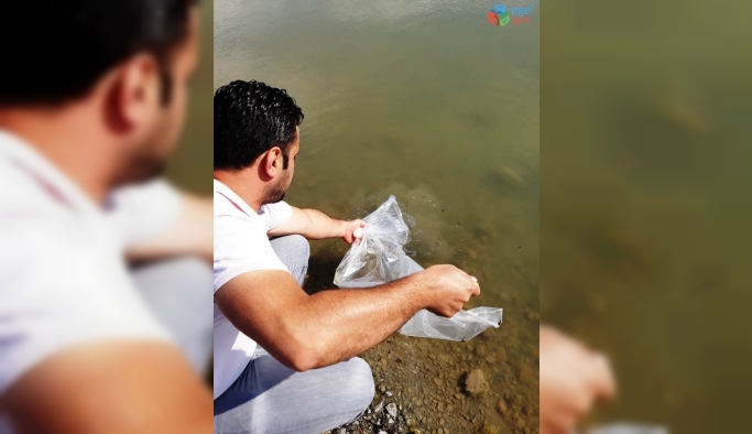 Samsun’da göl ve göletlere 120 bin adet yavru balık bırakıldı