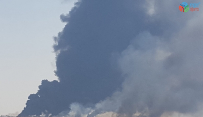 Suriye’de anız yangını petrol kuyularına sıçradı