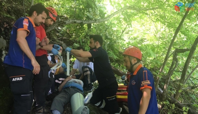 Uludağ’da ıhlamur toplarken ağaçtan düştü, yardımına kurtarma ekipleri koştu
