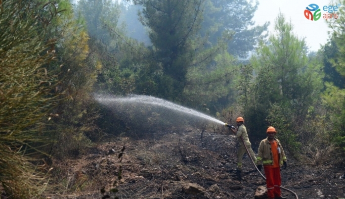 Antalya’da orman yangını, 1 hektar orman zarar gördü