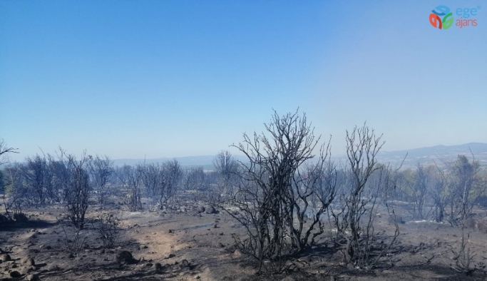 Çanakkale’de makilik yangını