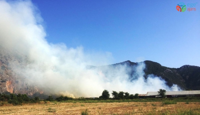 Dalyan’daki yangına havadan karadan müdahale ediliyor