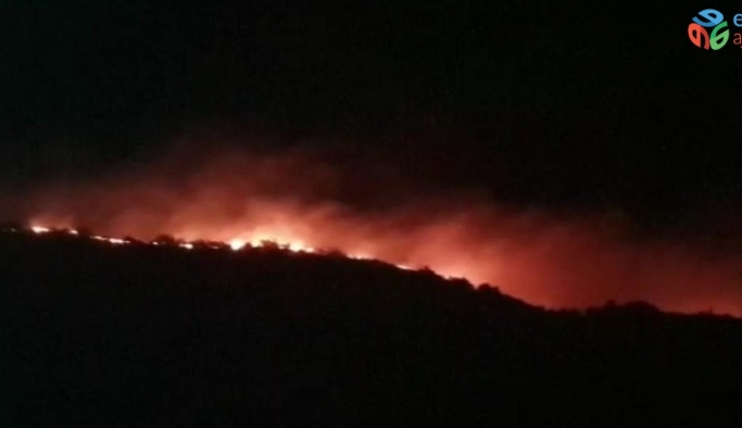 Elazığ’da orman yangını