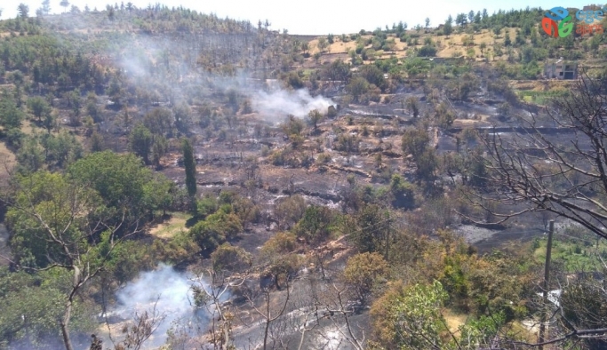 Gülnar’daki orman yangınına Büyükşehir Belediyesi ekipleri de müdahale etti