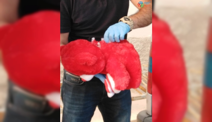 Konya’da oyuncak ayıdan bomba çıktı: 8 gözaltı