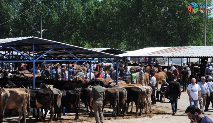 Simav’da kurban pazarı açıldı