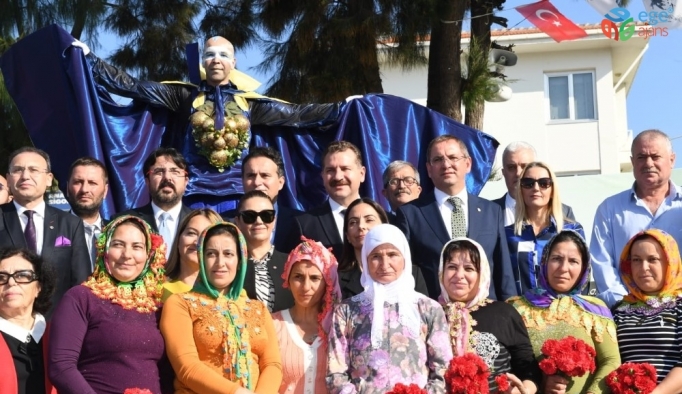 Uluslararası Zeytin Hasat Festivali başladı