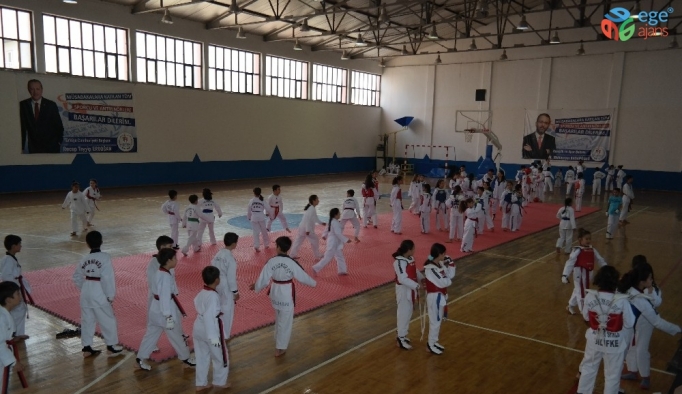 Silifke’de ’Minikler Taekwondo Turnuvası’ düzenlendi
