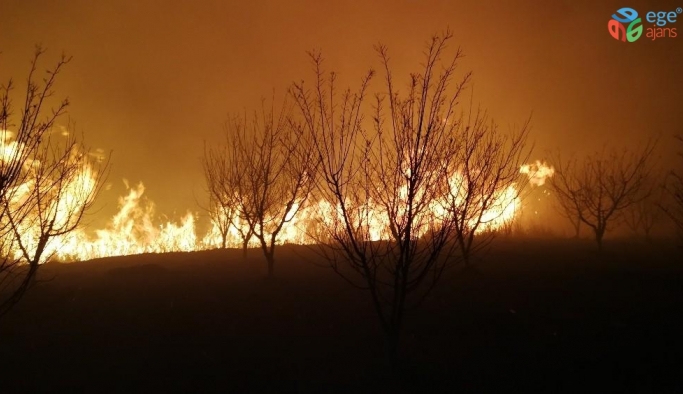 İznik Gölü’ndeki sazlık yangını kontrol altına alındı