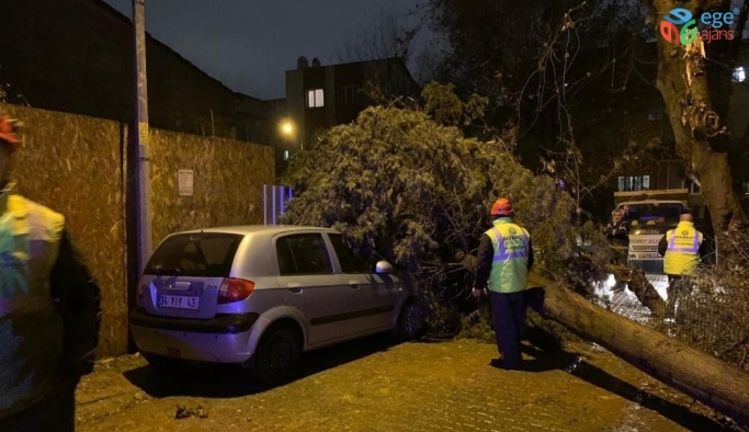 İstanbul’da fırtına ağaçları devirdi