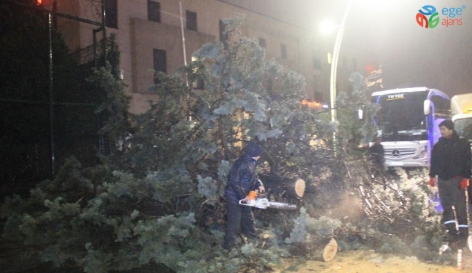 İstanbul’da fırtına çatıları uçurdu, ağaçları devirdi