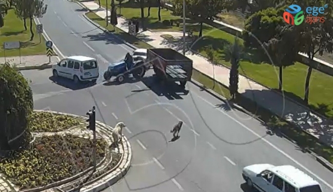 Köpeğe çarpmamak için durdu, traktör ona çarptı, kaza anları kamerada