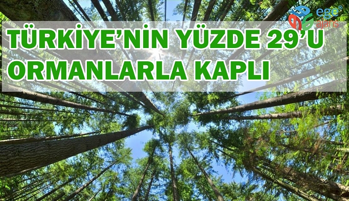 Türkiye’nin yüzde 29’u ormanlarla kaplı