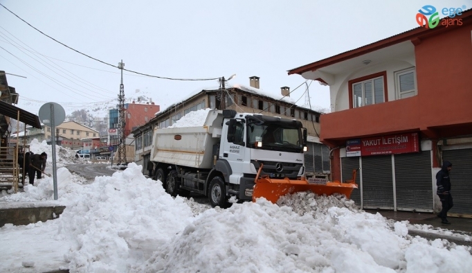 Başkale Belediyesi bin 500 kamyon kar taşıdı