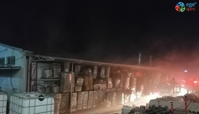 Tuzla’da dezenfektan üretimi yapan fabrikada korkutan yangın