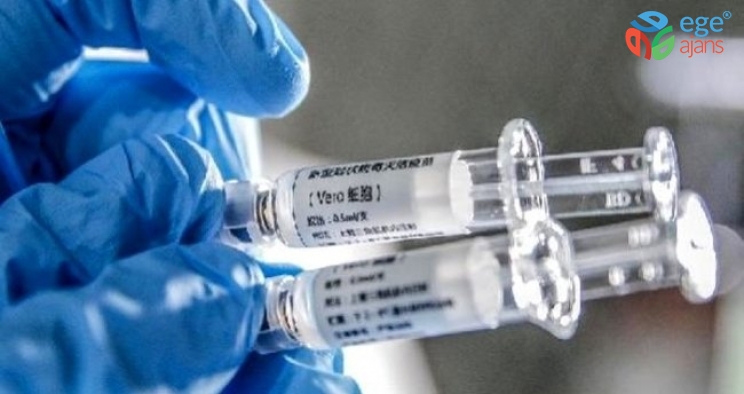 Çin'de flaş gelişme: Koronavirüs aşısının ilk fotoğrafı yayınlandı