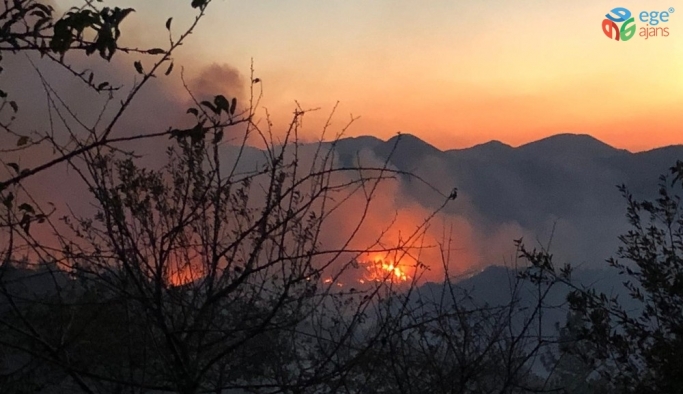 Kozan’daki orman yangını söndürme çalışmaları devam ediyor