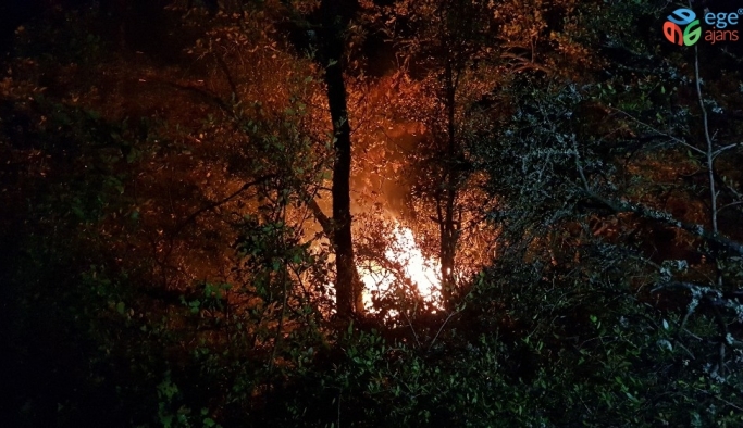 Karabük’teki orman yangını kontrol altına alındı
