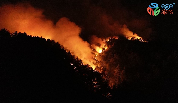 Pozantı’daki orman yangınına havadan müdahaleye tekrar başlandı