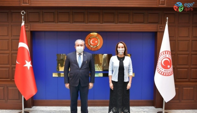 TBMM Başkanı Mustafa Şentop ve Parlamentolararası Birlik Başkanı Gabriela Cuevas Barron bir araya geldi