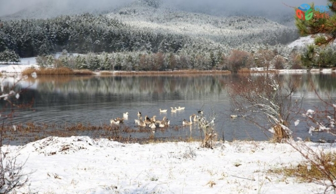 Mevsimin ilk karı yağdı Gölcük’te kartpostallık görüntüler oluştu