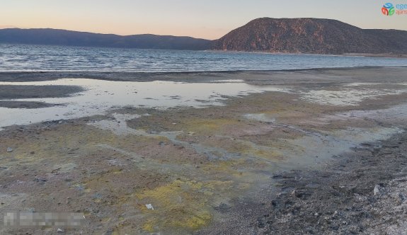 Salda Gölü’ndeki değişimin nedeni mevsimsel polenler
