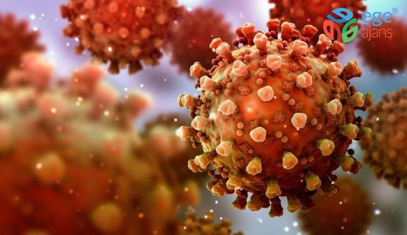 Araştırma: Koronavirüsün kökeni 20 bin yıl önceye dayanıyor