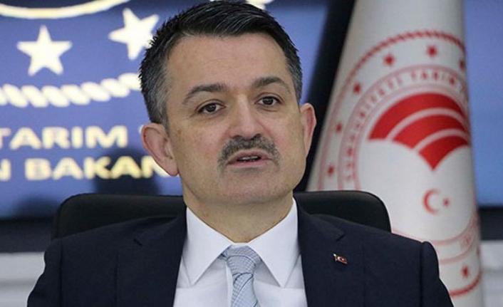 Bakan Pakdemirli açıkladı: İzmir'de 12 milyon 775 bin fidan dikilecek