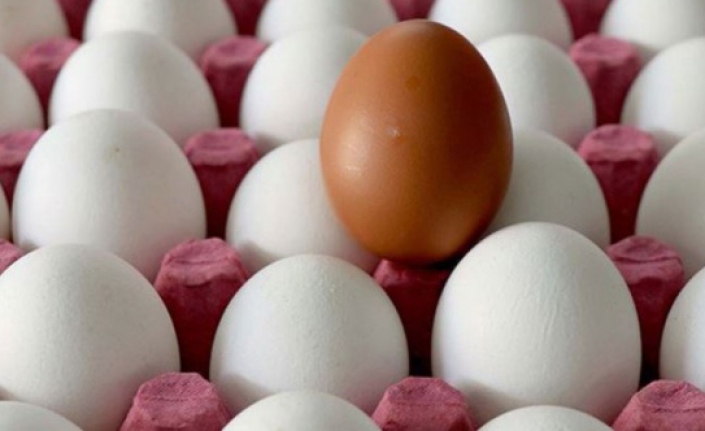Yumurta üreticileri isyan bayrağını çekti: 'Batacağız'
