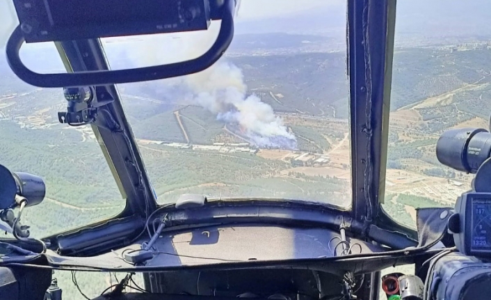 İzmir orman yangını