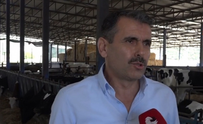 Tire Süt Kooperatifi Başkanı Öztürk: Üretici büyük sıkıntıda