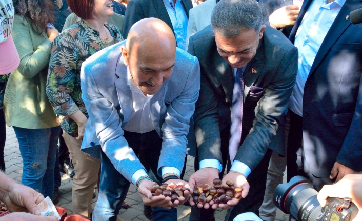 Beydağ, Çomaklar’daki Kestane Festivali ile Şenleniyor
