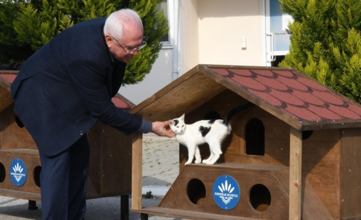 Karabağlar’ın 2023 yılı kedi evleri hazır