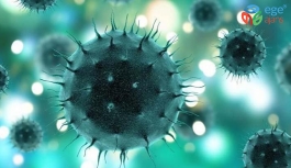 Beklenen Sorunun Cevabı: Koronavirüs İnsan Yapımı mı?