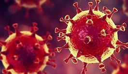 Bölgelere Göre Koronavirüs Tablosu