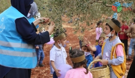 Minikler barış ve kardeşlik için zeytin topladı