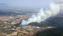 Son dakika: İzmir Foça'da ormanlık alanda yangın çıktı