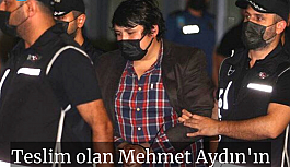Teslim olan Mehmet Aydın'ın ilk ifadesi ortaya çıktı